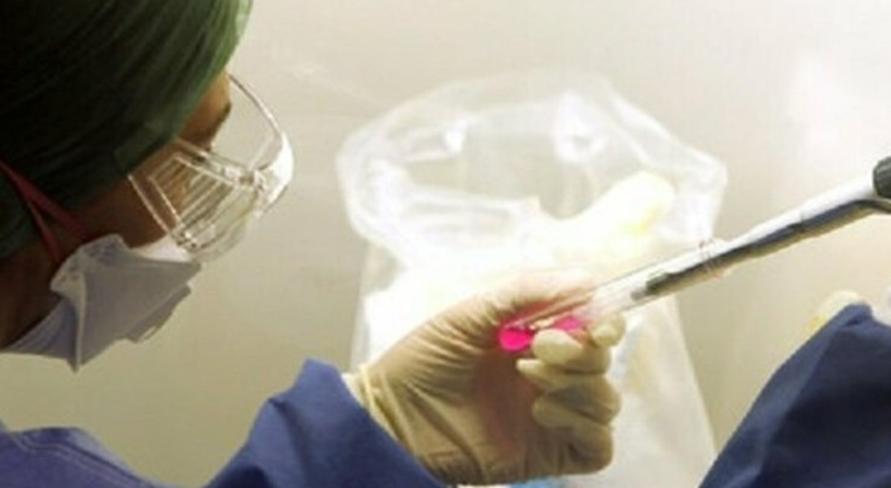 epatiti aumentano i casi colpa di sesso viaggi frutti di mare dentista e barbiere ecco come proteggersi