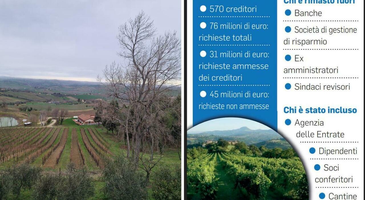 Moncaro, 570 creditori per 76 milioni. Amministratori bocciati: «Responsabili del debito»