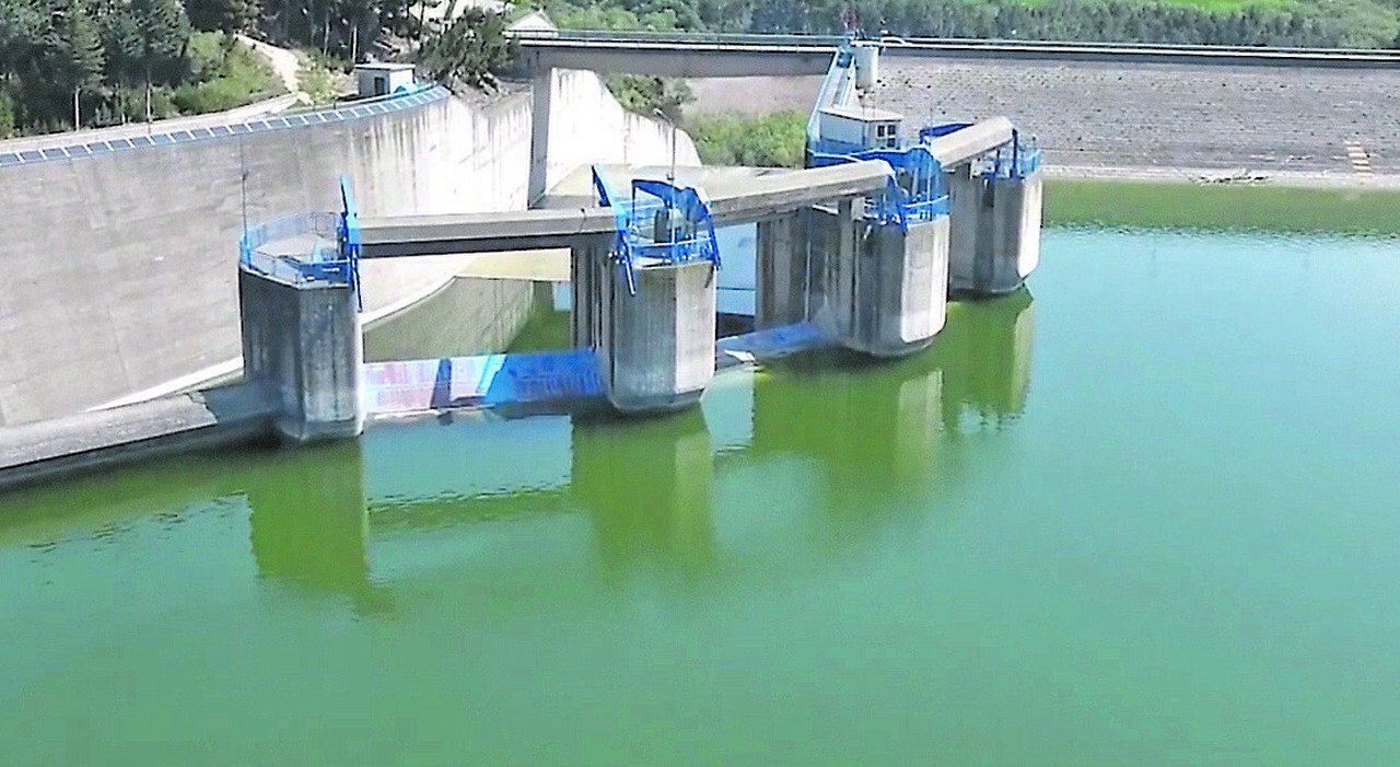 Siccità, benedetta pioggia: le dighe in Puglia sono meno vuote. «Ma l?emergenza resta»