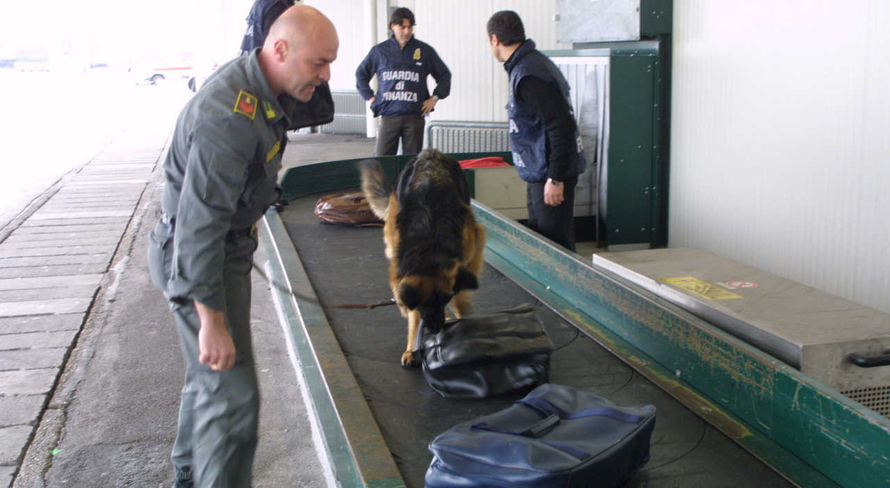 Droghe sintetiche, boom tra i ragazzi. Triplicata la merce sequestrata in un anno: Ketamina e Mdma le più usate