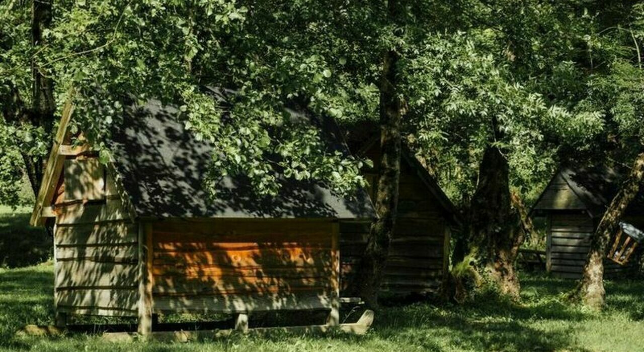 famiglia nel bosco spunta un nuovo caso siamo senza i nostri figli da 47 giorni la denuncia l allontanamento e la scuola