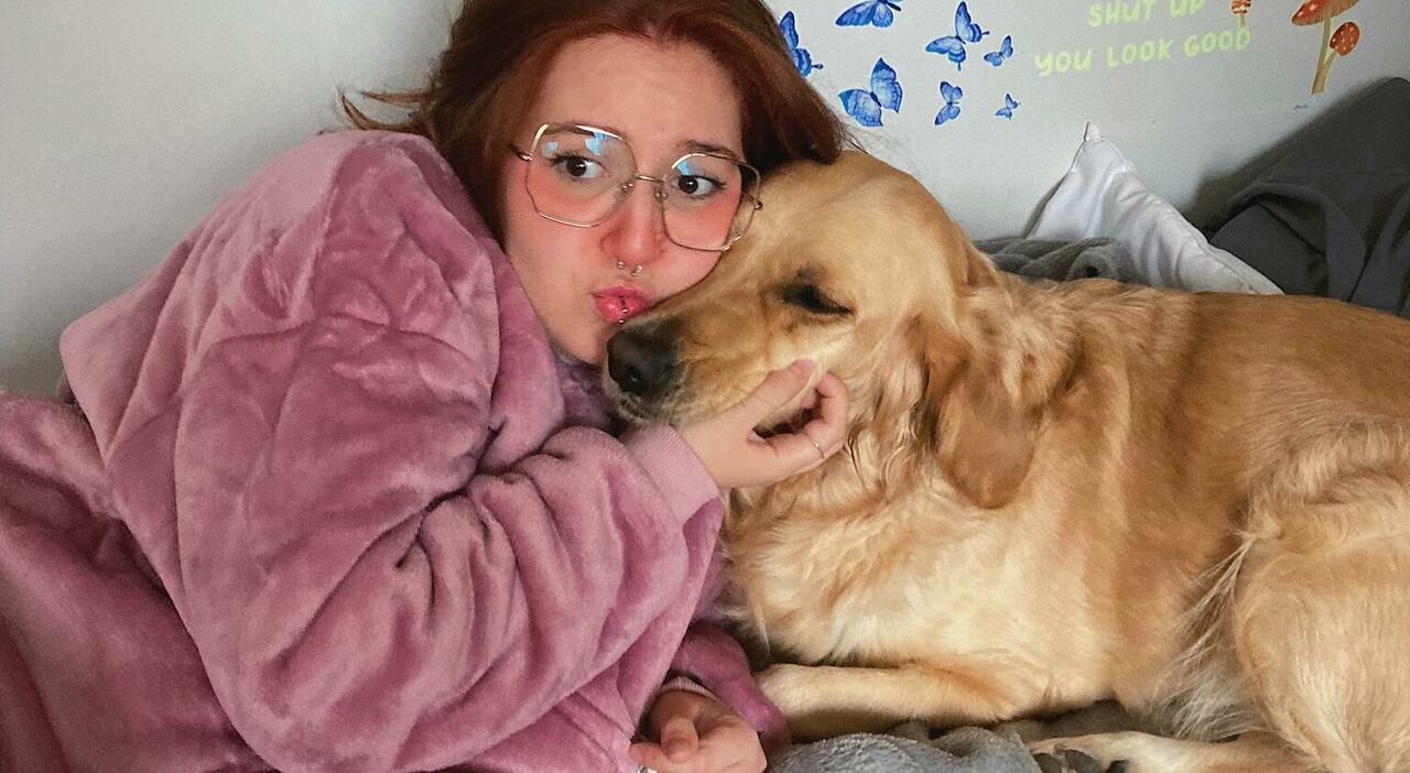 Peep, il golden retriever con la leucemia. L