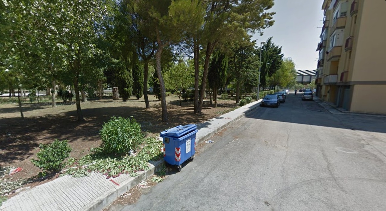 Luci in piazza a Sant?Elia: la Multiservizi spende 7mila euro per il Natale ma è gelo con il Comune, che non è stato informato Luci in piazza a Sant?Elia: la Multiservizi spende 7mila euro per il Natale ma è gelo con il Comune, che non è stato informato