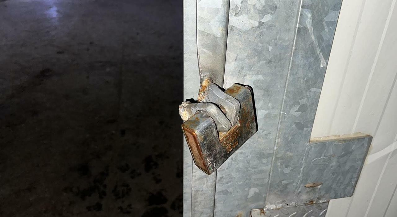 Tentano di rubare macchine agricole: scoperti dai vigilantes e messi in fuga Tentano di rubare macchine agricole: scoperti dai vigilantes e messi in fuga