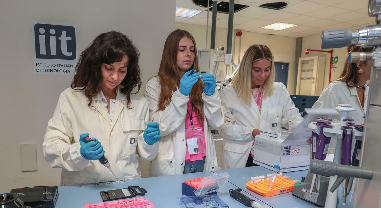 ricerca sbloccati i fondi per i talenti campani energie per il futuro