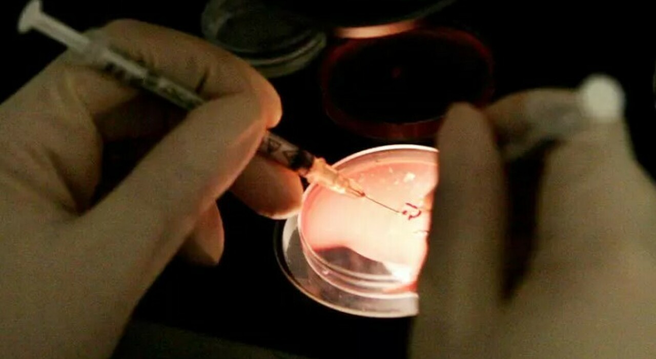 Il donatore di sperma, la rara mutazione e il rischio tumore: «Lui un ex studente, non sapeva nulla». Dove sono nati i bambini