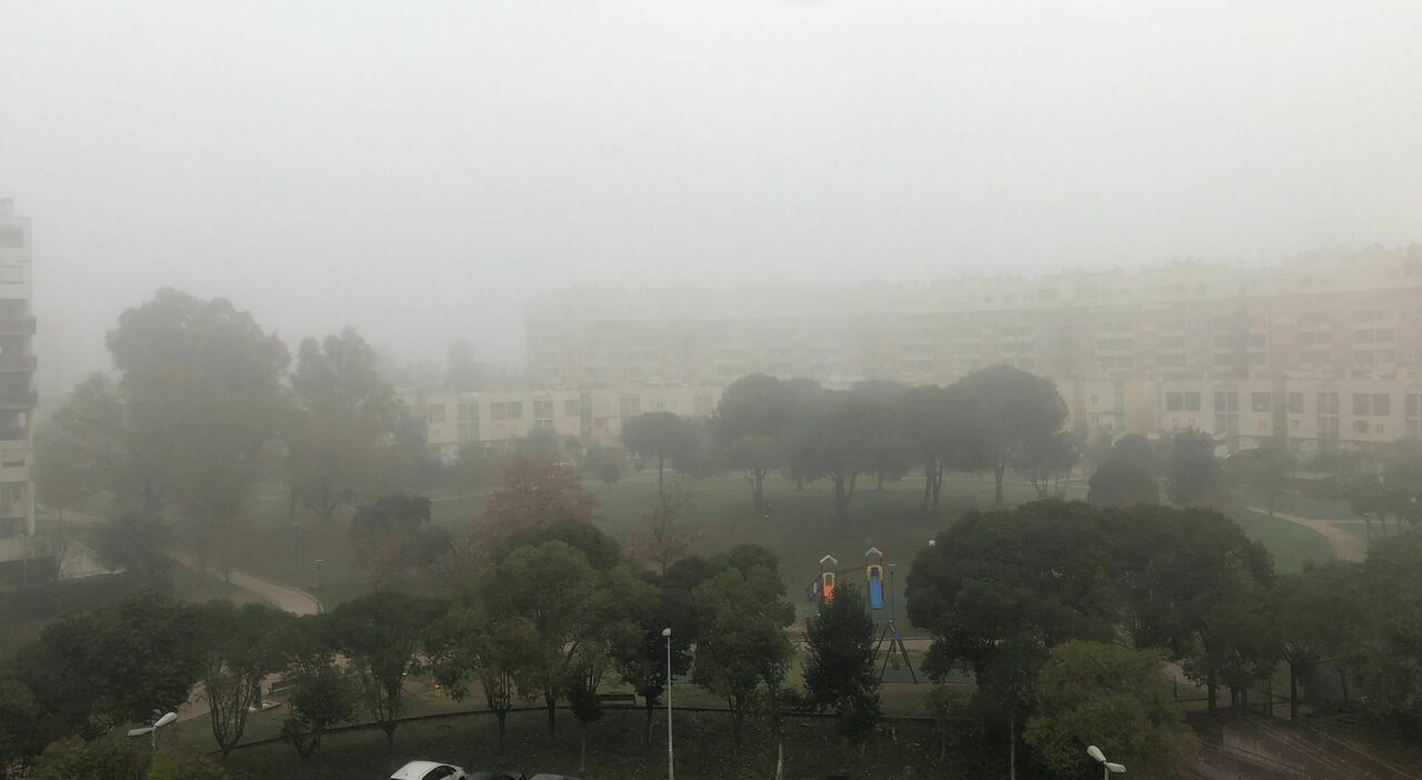 https://statics.cedscdn.it/photos/MED_HIGH/2025/12/12/9241194_12085424_nebbia_roma.jpg