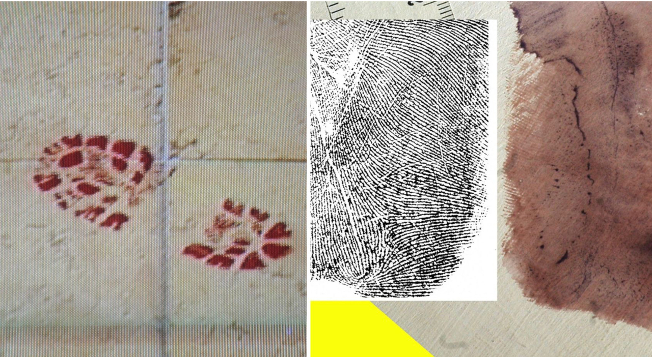 Garlasco, nuova impronta: una scarpa insanguinata vicino al corpo di Chiara Poggi. «Compatibile con la traccia del killer»? Garlasco, nuova impronta: una scarpa insanguinata vicino al corpo di Chiara Poggi. «Compatibile con la traccia del killer»?