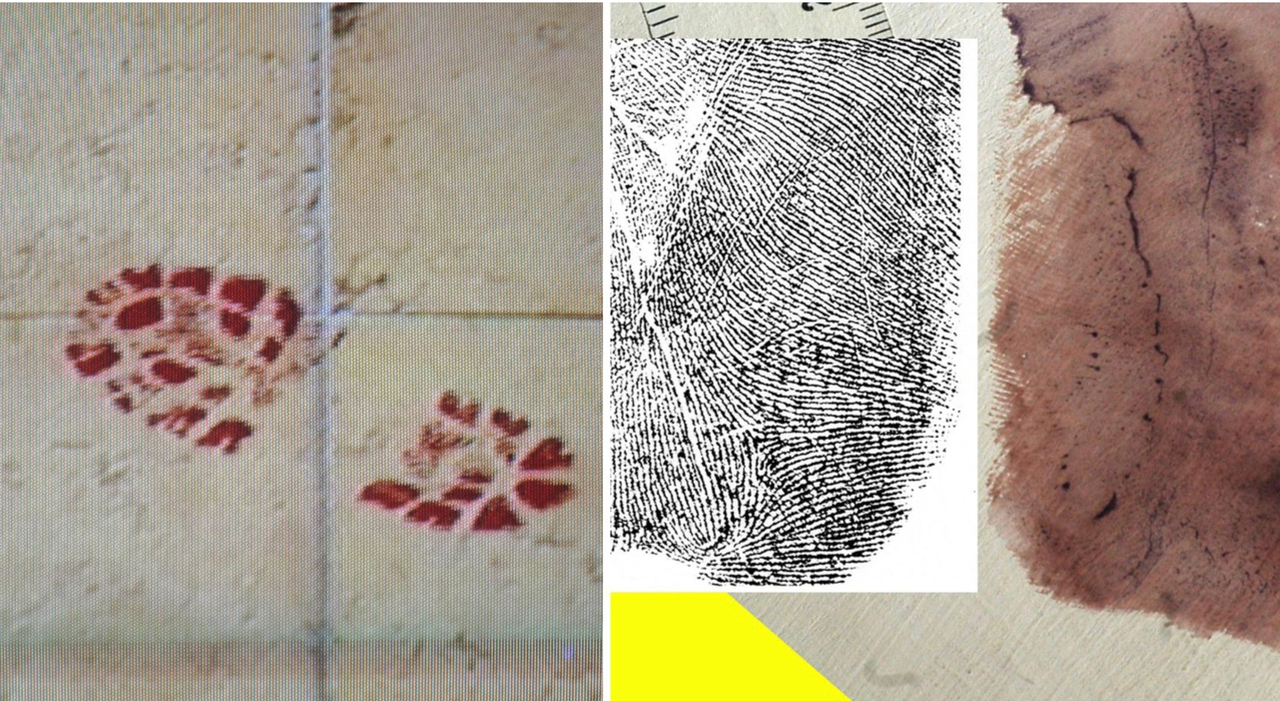 garlasco nuova impronta scarpa insanguinata vicino al corpo di chiara poggi compatibile con la traccia del killer