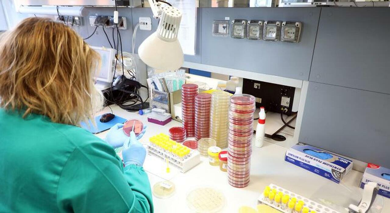 Lavoro, il Mezzogiorno continua la sua corsa: «Basi sempre più solide»