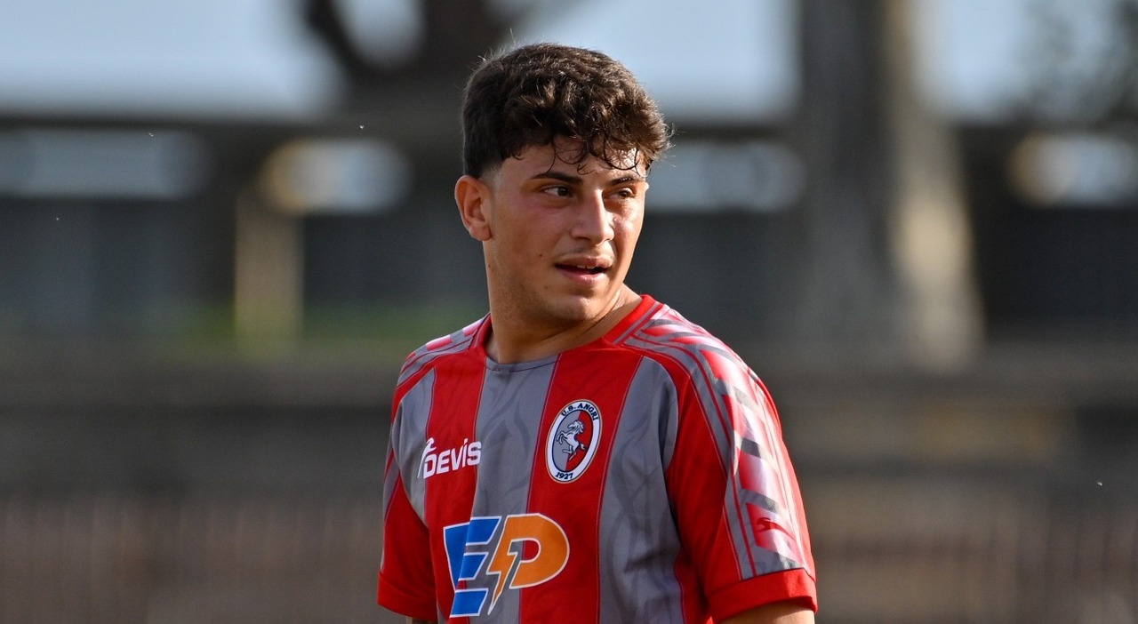 bruno petrone accoltellato a napoli i pm un raid premeditato