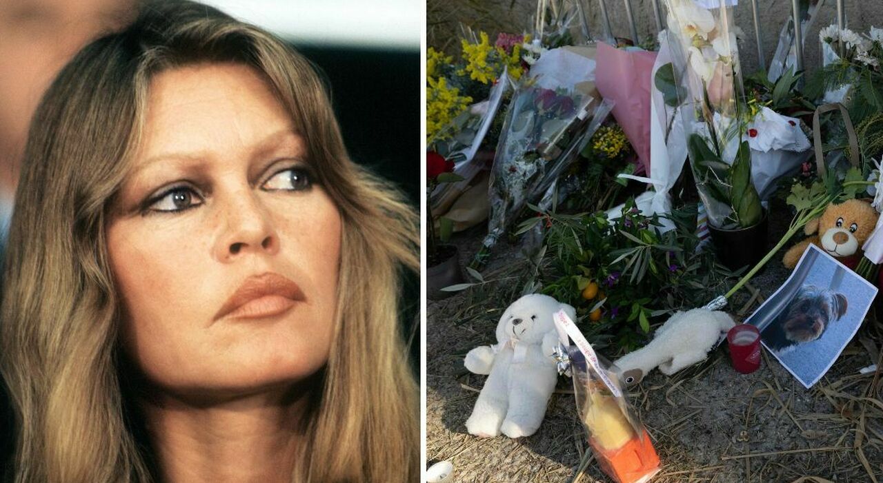 brigitte bardot sar224 sepolta nel cimitero marino di saint tropez ma lei non voleva la folla di idioti e i desideri dell attrice da Leggo.it brigitte bardot sar224 sepolta nel cimitero marino di saint tropez ma lei non voleva la folla di idioti e i desideri dell attrice