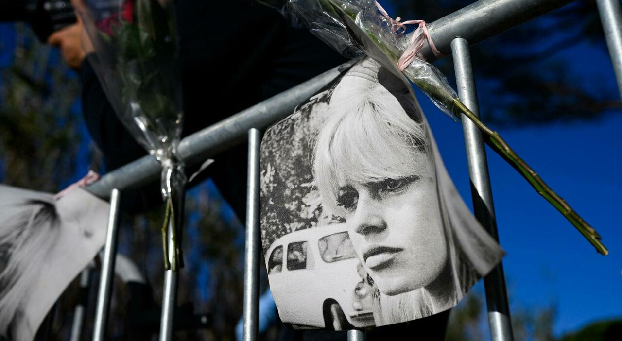 brigitte bardot la verit224 sulla morte nel giorno dei funerali il marito rivela aveva un cancro ma era bellissima