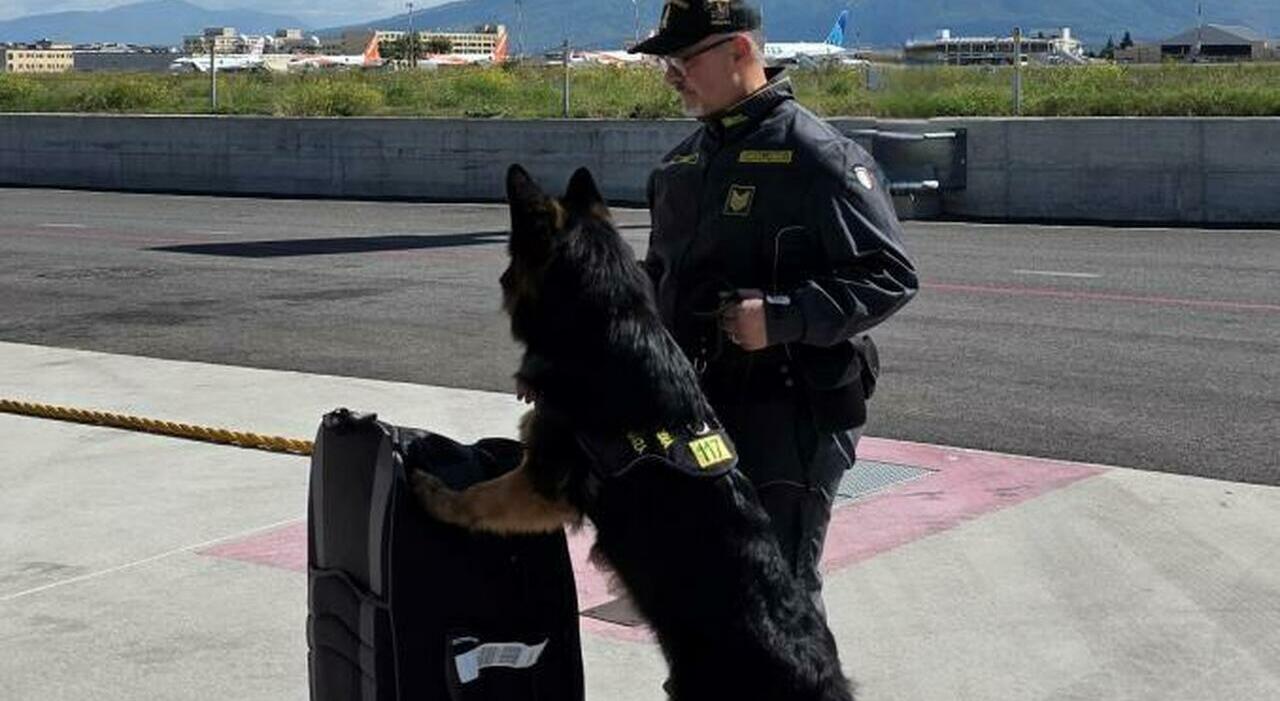 Napoli: Sequestrati 5 Milioni di Euro Sporchi a Capodichino - finanza news from Il Mattino