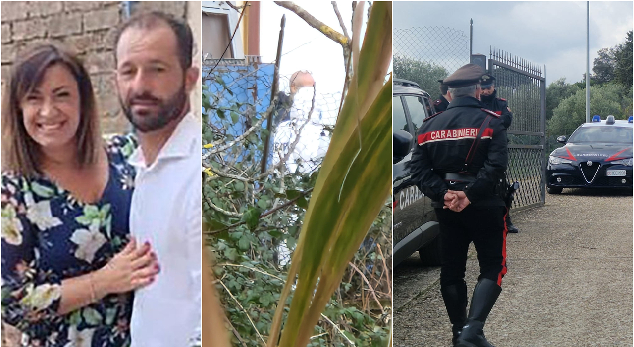 federica torzullo trovato cadavere nell azienda del marito ad anguillara potrebbe essere il corpo della 41enne