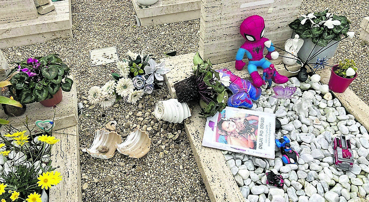 salento vandali sulla tomba di un bimbo foto strappata tra fiori e peluche da Quotidianodipuglia.it salento vandali sulla tomba di un bimbo foto strappata tra fiori e peluche
