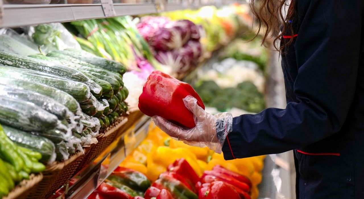 carciofi a peso doro zucchine sparite cos236 il maltempo si abbatte sulla tavola da Leggo.it carciofi a peso doro zucchine sparite cos236 il maltempo si abbatte sulla tavola