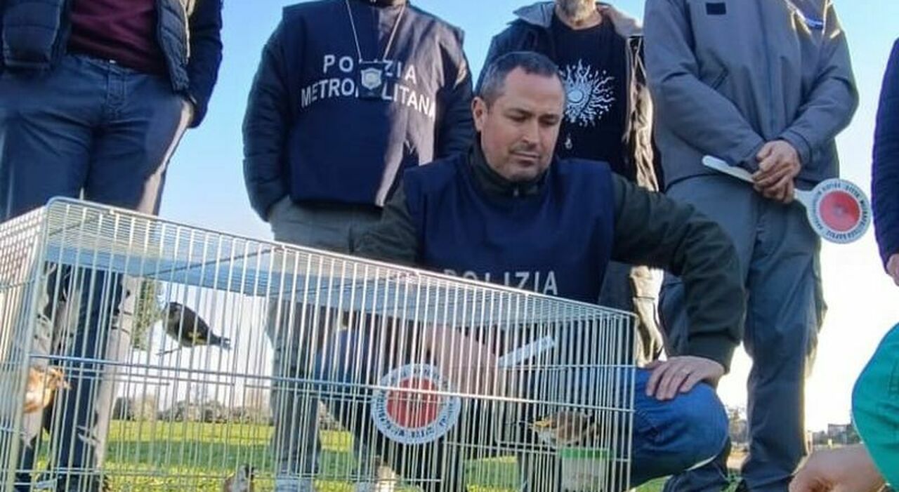 Crackdown on Illegal Wildlife Trade