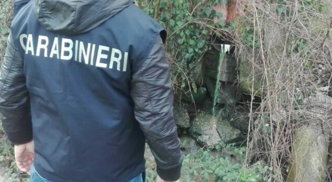 https://statics.cedscdn.it/photos/MED_HIGH/2026/01/25/9319022_25103912_carabiniere_forestale_morto_foggia_chi_era_ragazzo_25_anni.jpg