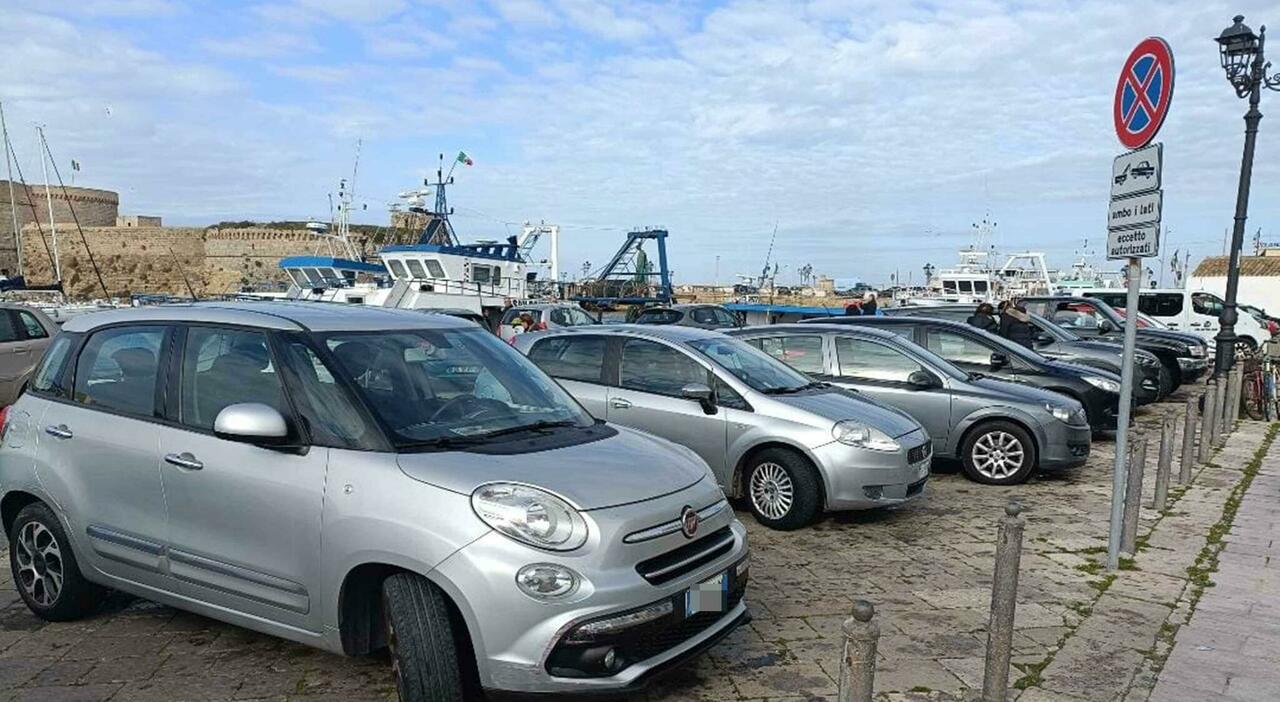 gallipoli parcheggio selvaggio al canneto pi249 di 700 interventi e 500 multe da Quotidianodipuglia.it gallipoli parcheggio selvaggio al canneto pi249 di 700 interventi e 500 multe