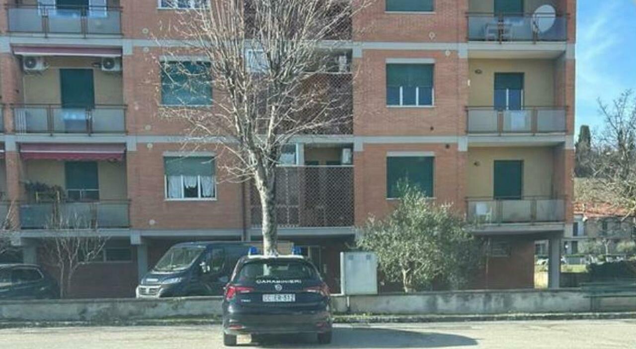 anziana ferita a pergola arrestata la badante per i carabinieri 232 tentato omicidio l 83enne ricoverata per un trauma cranico