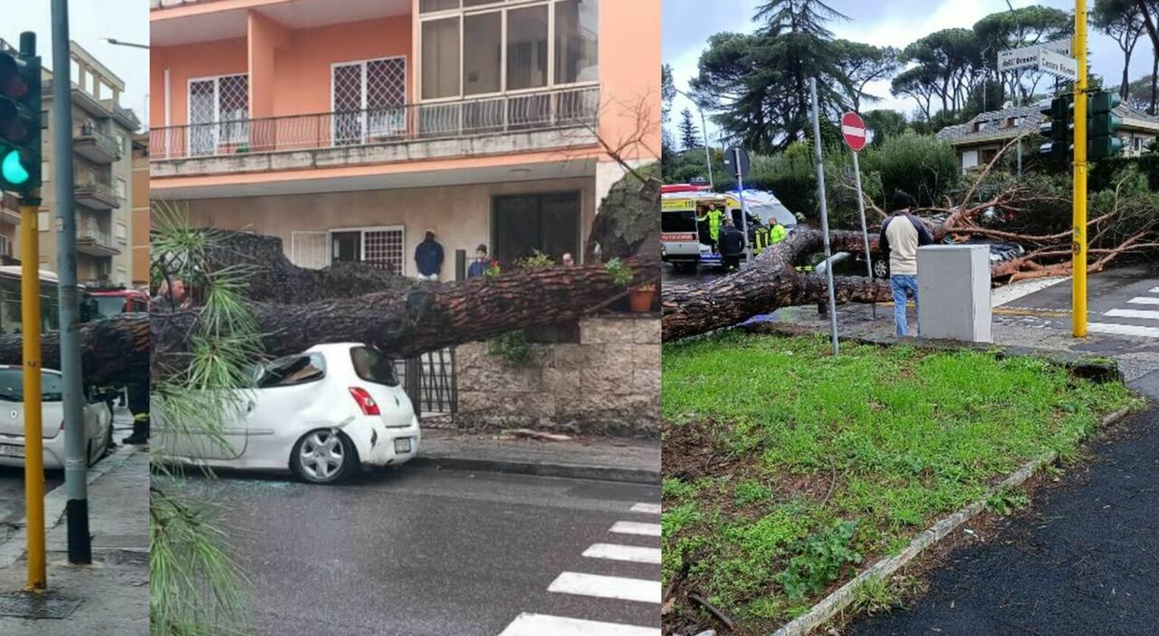 maltempo roma alberi crollano su auto all eur e alla balduina temporali e allerta vento fino a domani scuole chiuse a frosinone da Ilmessaggero.it maltempo roma alberi crollano su auto all eur e alla balduina temporali e allerta vento fino a domani scuole chiuse a frosinone