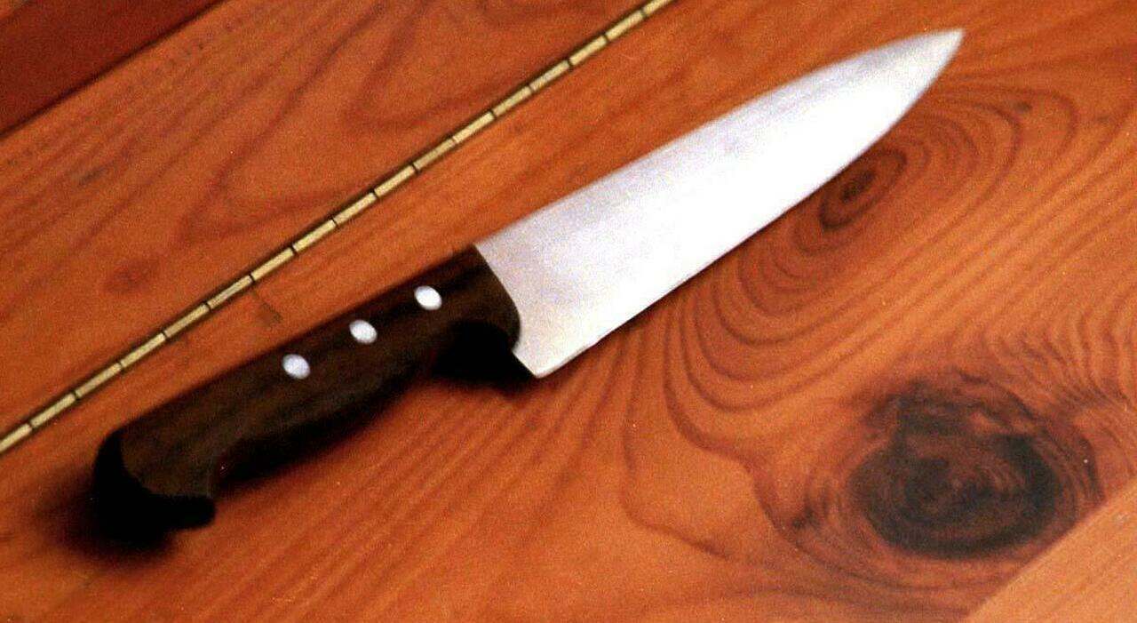 studente 15enne viaggia con un coltello da cucina sul bus individuato dalla polizia locale sulla linea urbana cordenons pordenone da Ilgazzettino.it studente 15enne viaggia con un coltello da cucina sul bus individuato dalla polizia locale sulla linea urbana cordenons pordenone