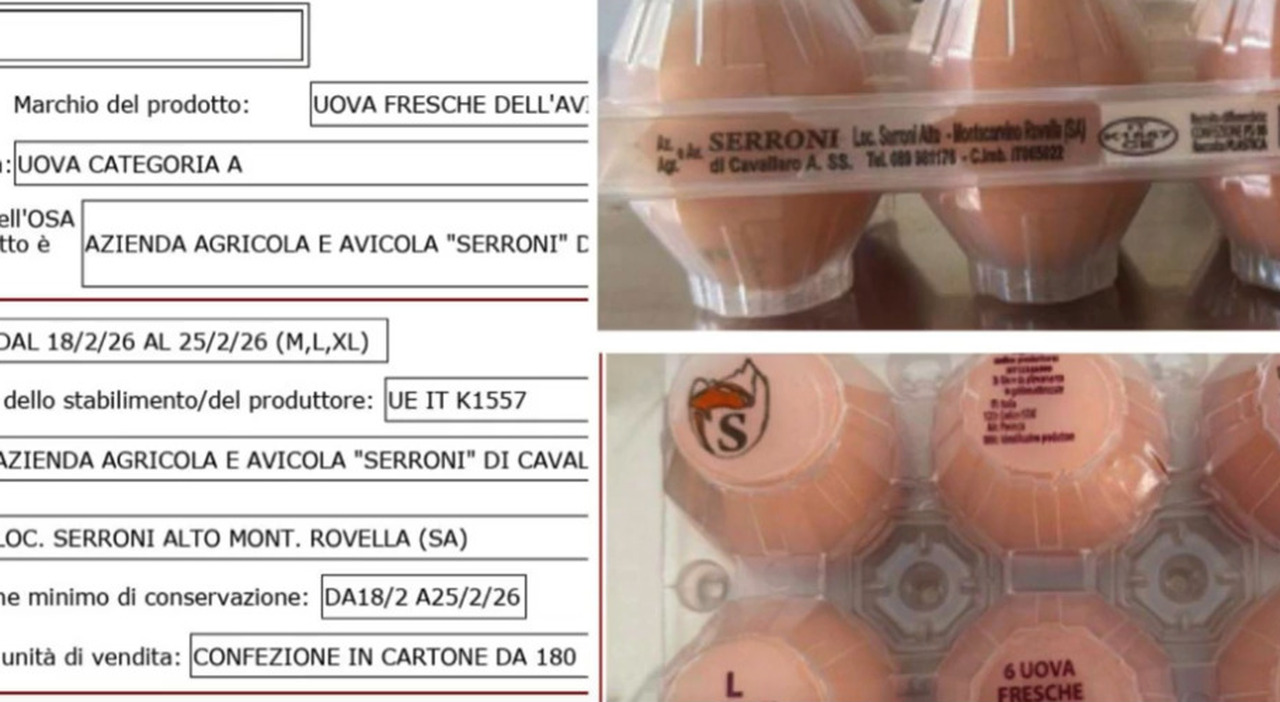 https://statics.cedscdn.it/photos/MED_HIGH/2026/02/09/9349176_09154136_uova_ritirate_commercio_salmonella_quali_lotti.jpg