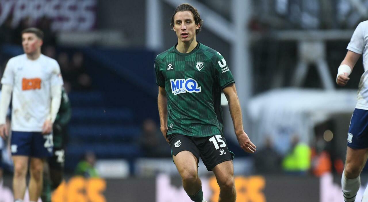 bove prima presenza col watford la rinascita dell ex roma in inghilterra da Ilmessaggero.it bove prima presenza col watford la rinascita dell ex roma in inghilterra