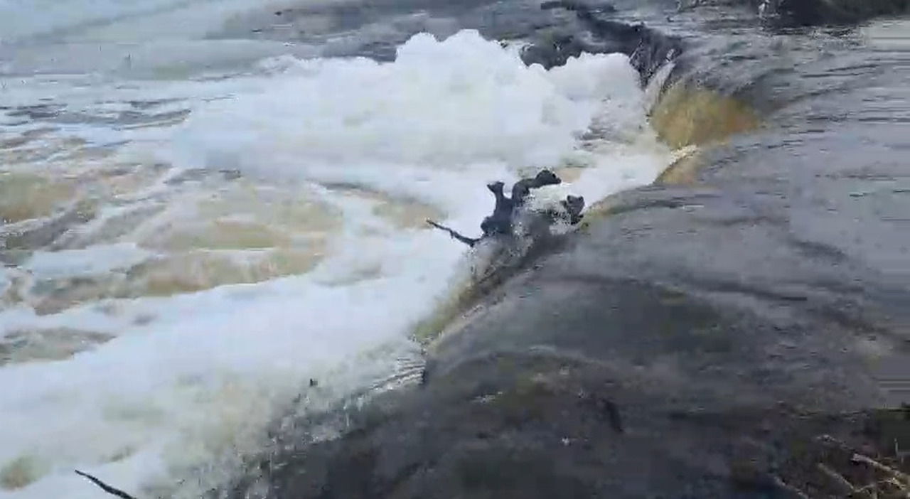 Le Cesine, due tracimazioni del cordone dunale: è emergenza. Video Le Cesine, due tracimazioni del cordone dunale: è emergenza. Video