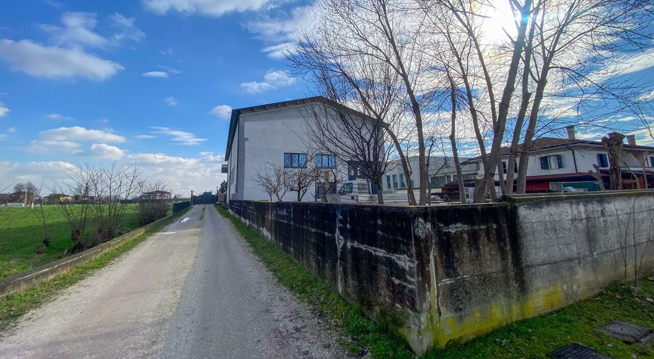 rapina in villa gli imprenditori nicolini e la voglia di tornare alla normalit224 al lavoro a pochi giorni dall  aggressione  200 successo quel che 232 successo