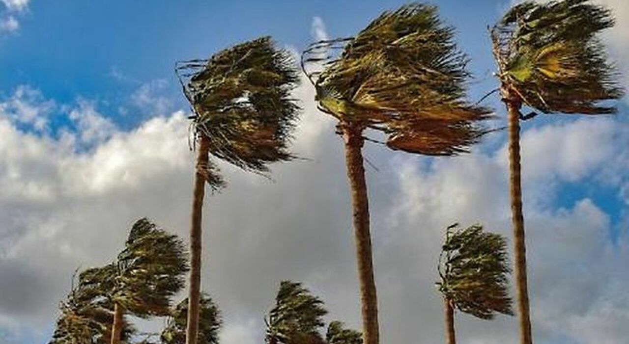 vento forte nella notte allerta gialla su parte della puglia