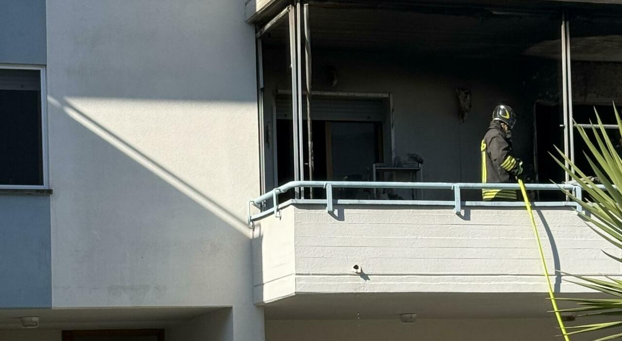 scoppia un incendio nellappartamento a falconara la proprietaria 232 fuori morti i suoi gatti da Corriereadriatico.it scoppia un incendio nellappartamento a falconara la proprietaria 232 fuori morti i suoi gatti
