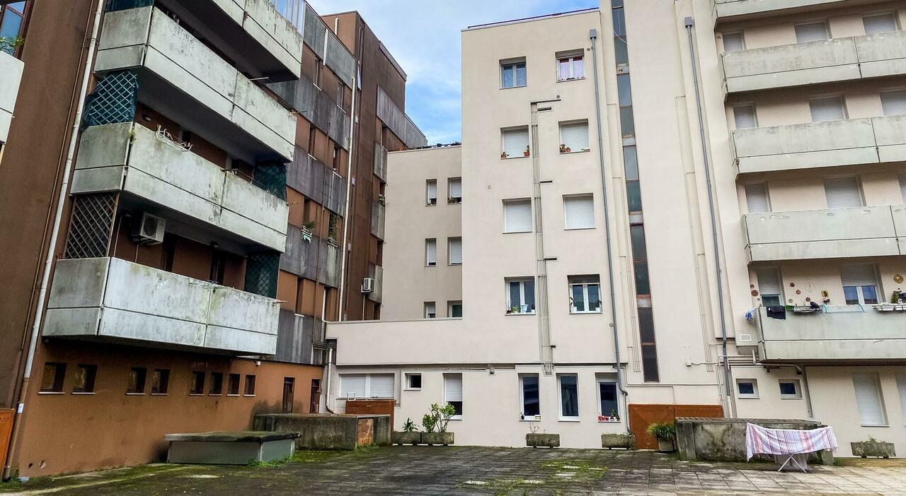 palazzo degli abusivi donna picchiata e azzannata dal cane la vendetta per il rimprovero per l abbandono dei rifiuti in strada