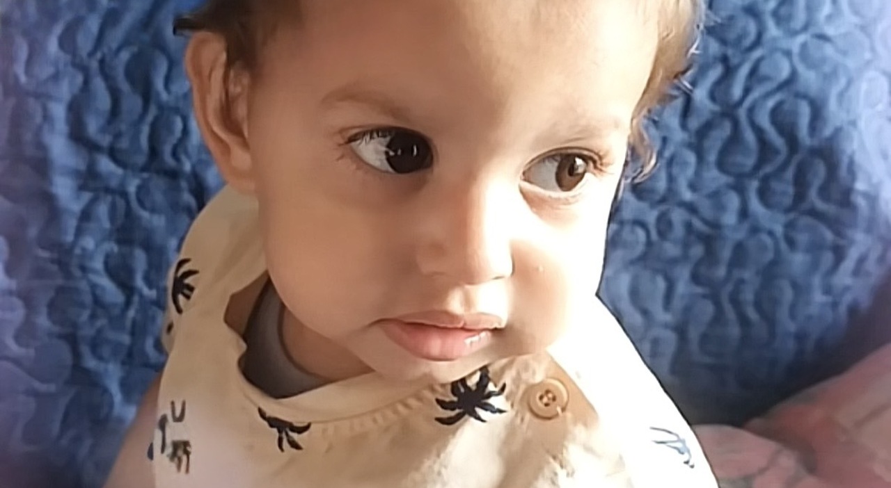 domenico caliendo morto al monaldi particolari scioccanti nei verbali degli infermieri lavvocato a bolzano nessun errore per il ghiaccio napoli doveva vigilare da Ilmattino.it domenico caliendo morto al monaldi particolari scioccanti nei verbali degli infermieri lavvocato a bolzano nessun errore per il ghiaccio napoli doveva vigilare