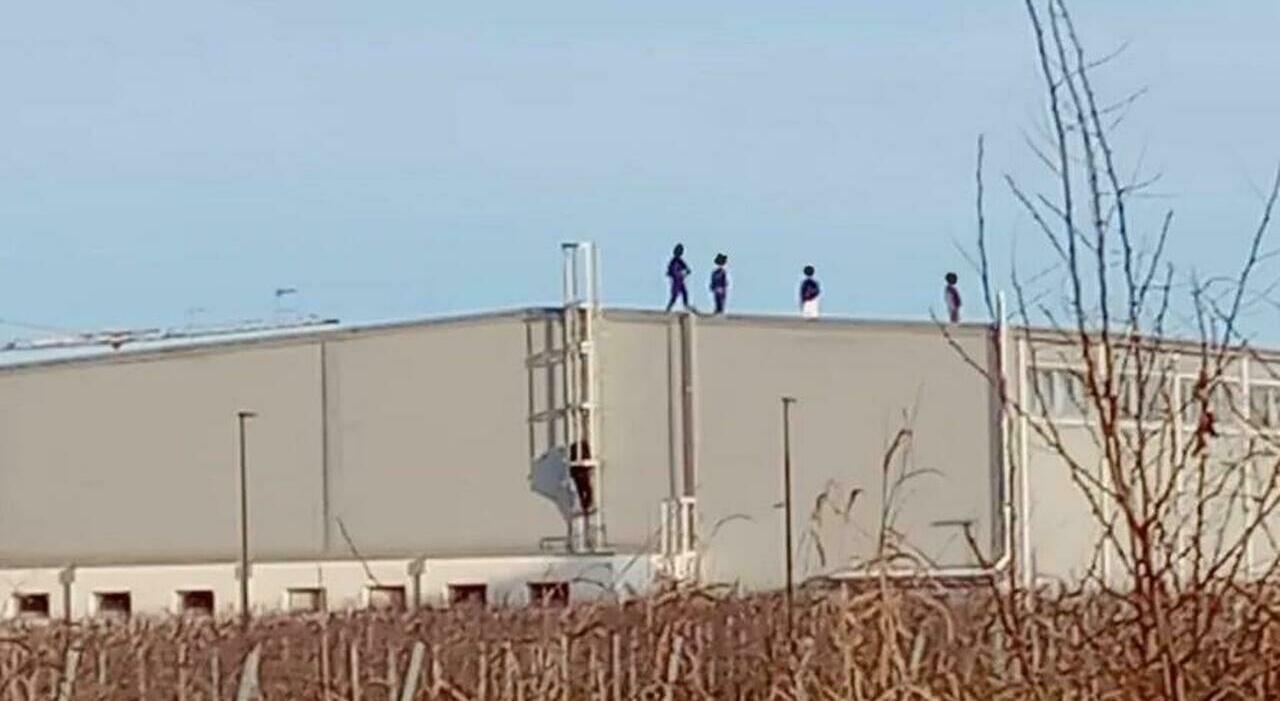 bulli sui tetti di scuole e palestre il comune assume dei vigilantes antimaranza basta vandalismi e schiamazzi da Ilgazzettino.it bulli sui tetti di scuole e palestre il comune assume dei vigilantes antimaranza basta vandalismi e schiamazzi