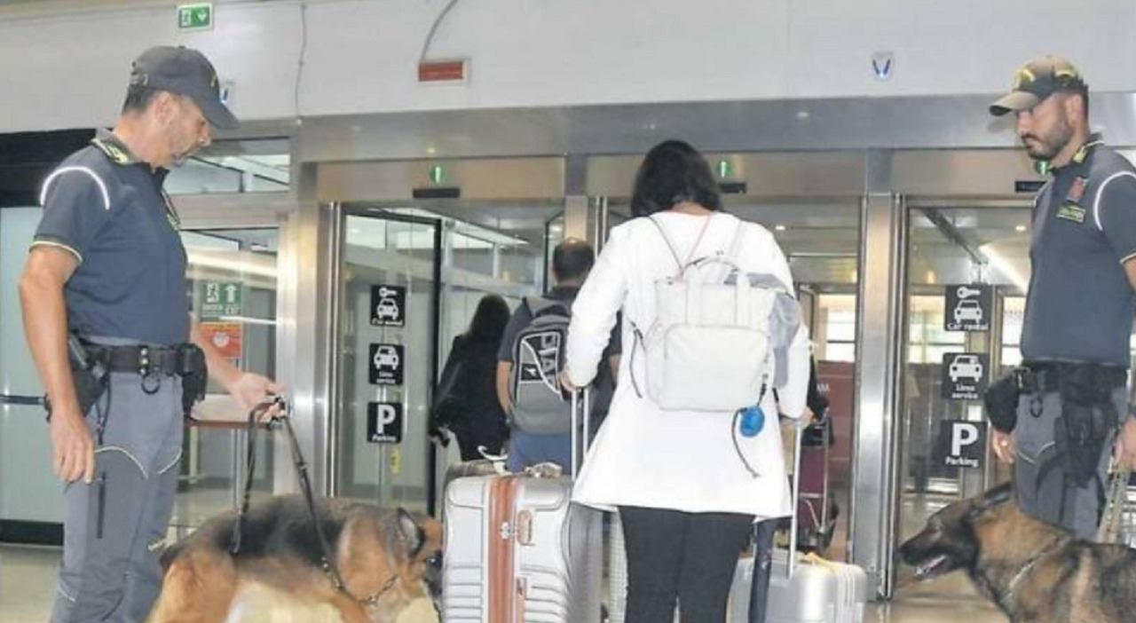 Fiumicino: Guardia di Finanza, 10 Milioni di Euro Non Dichiarati - finanza news from Il Messaggero