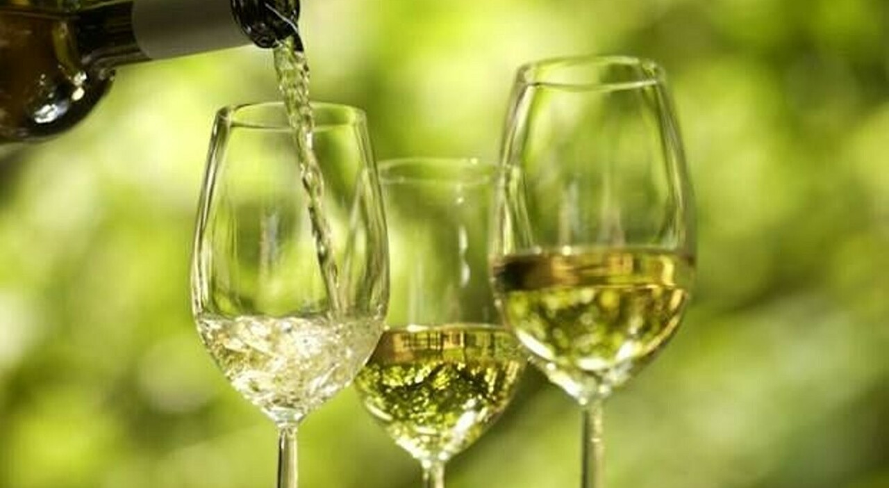 Venezia Wine Festival, i vini del mondo sbarcano al Forte Marghera tra degustazioni e masterclass