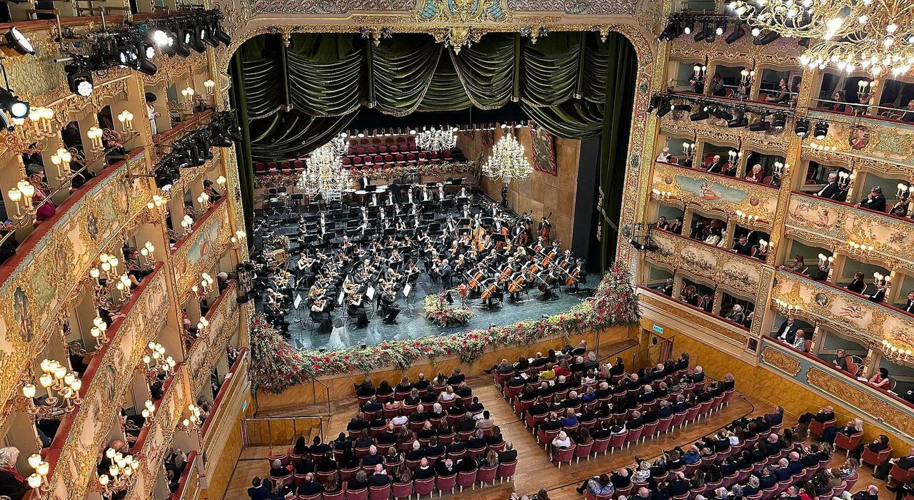 fenice muti lascia questo clima non permette di portare avanti l incarico rinuncio ai compensi