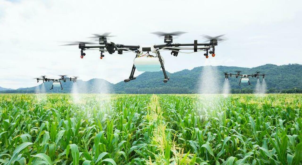 giovani e innovazione lagricoltura del sud 232 sempre pi249 hi tech da Ilmattino.it giovani e innovazione lagricoltura del sud 232 sempre pi249 hi tech