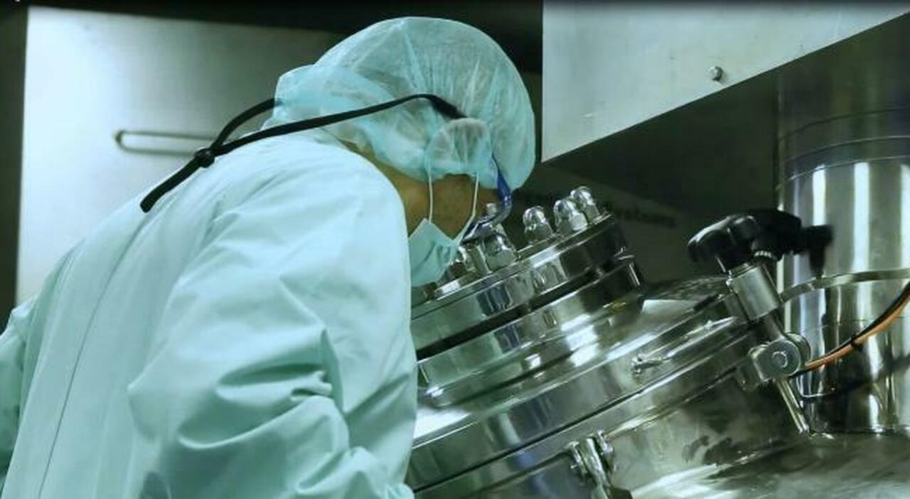 nuova malattia genetica rara scoperta nei bambini ritardi nello sviluppo nel linguaggio e malformazioni da Ilmessaggero.it nuova malattia genetica rara scoperta nei bambini ritardi nello sviluppo nel linguaggio e malformazioni