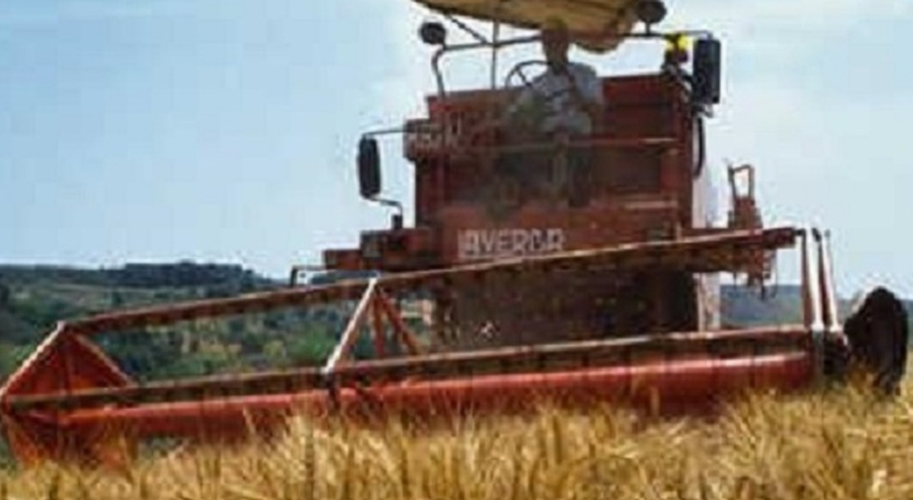 Dai campi alla pesca: i rincari allarmano il sistema produttivo anche in Puglia Dai campi alla pesca: i rincari allarmano il sistema produttivo anche in Puglia