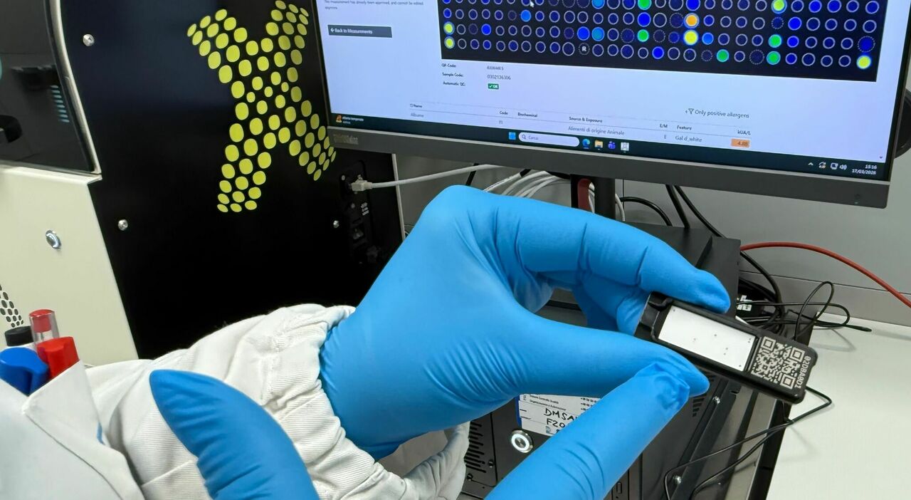 «La colpa è tutta dell?ambrosia», le allergie a Roma raddoppiano. Cos'è e da dove arriva