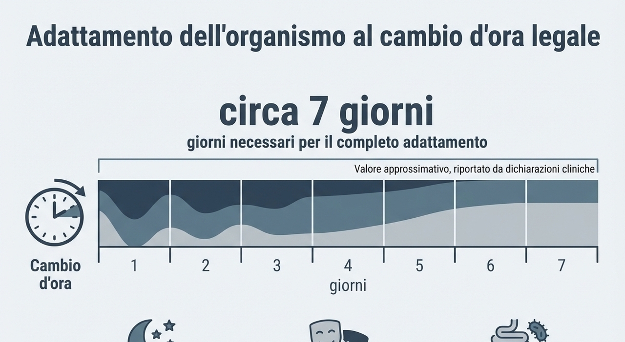 «Il cambio dell'ora ci rende fragili»: cos'è il "jet lag" dell'intestino e perché può influenzare umore, sonno e metabolismo