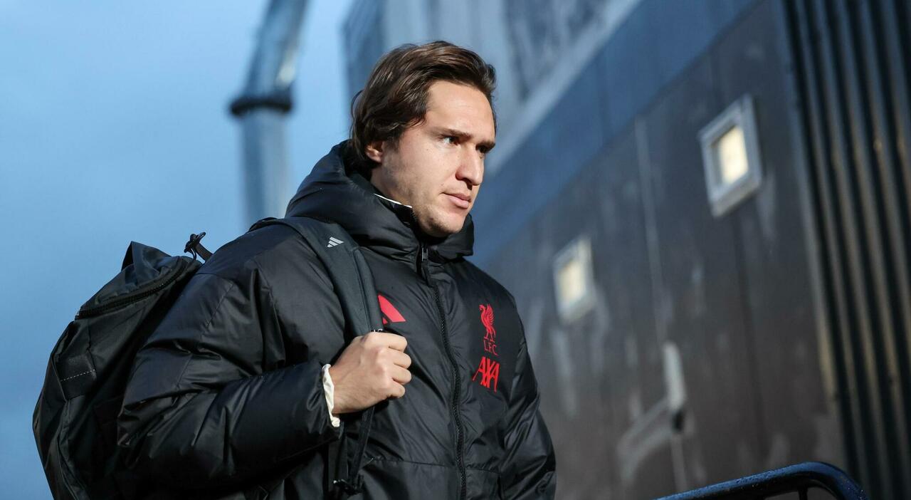 charley grayyy Exclusive Updates 2026 