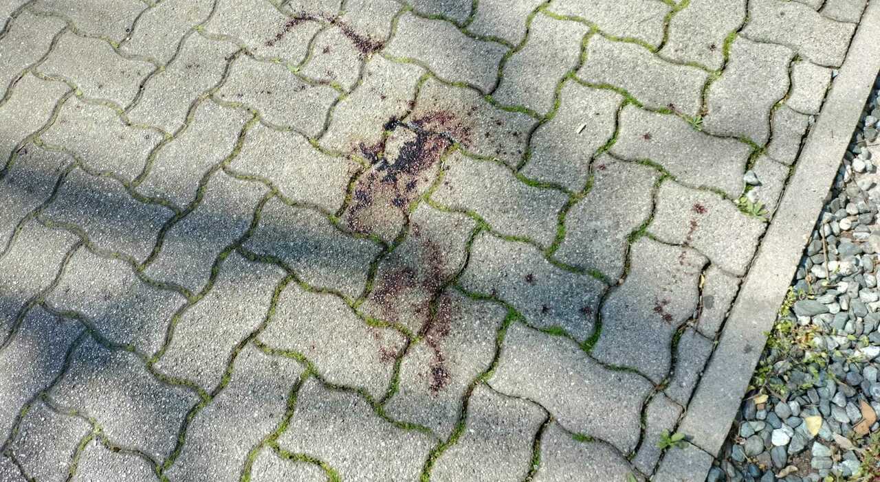 Lite fra minorenni sfocia nella rissa sotto gli occhi dei passanti: avvistato un coltello. Indagini in corso