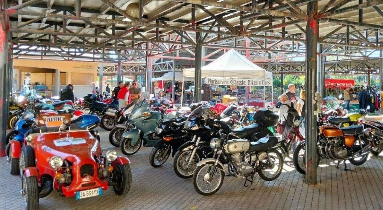 L'esposizione