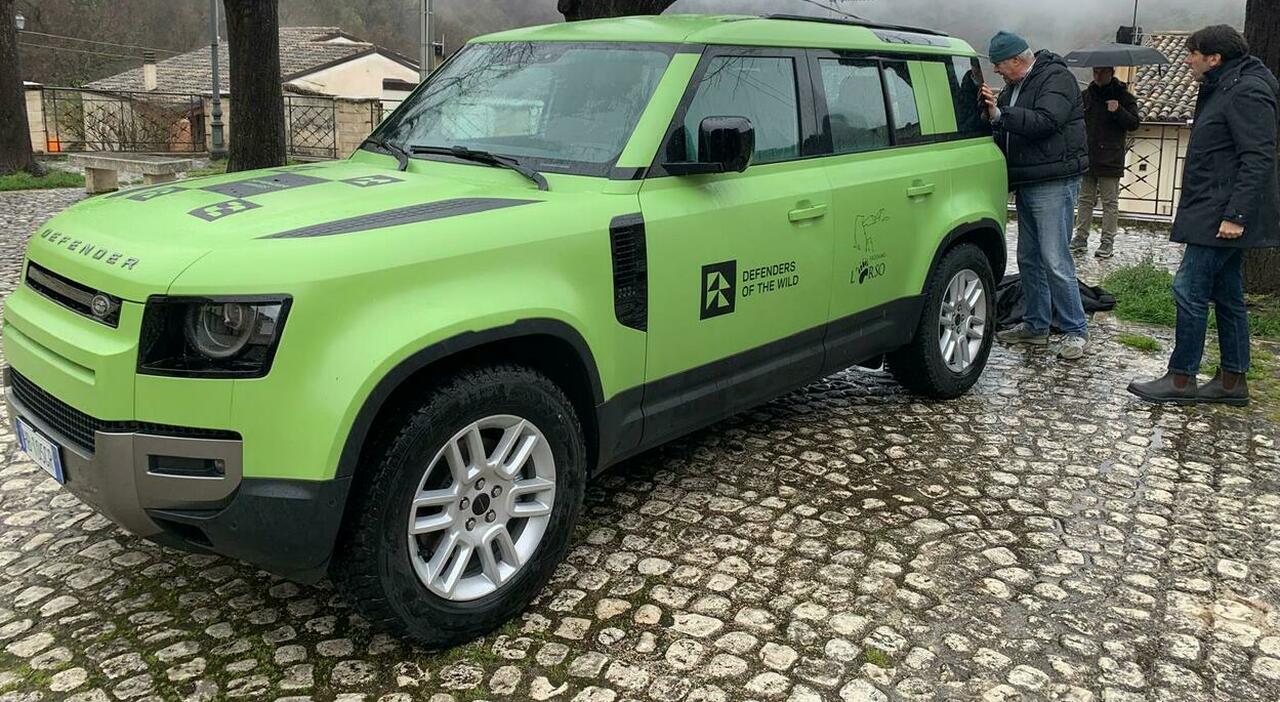 Land Rover, il Defender con l'orso marsicano