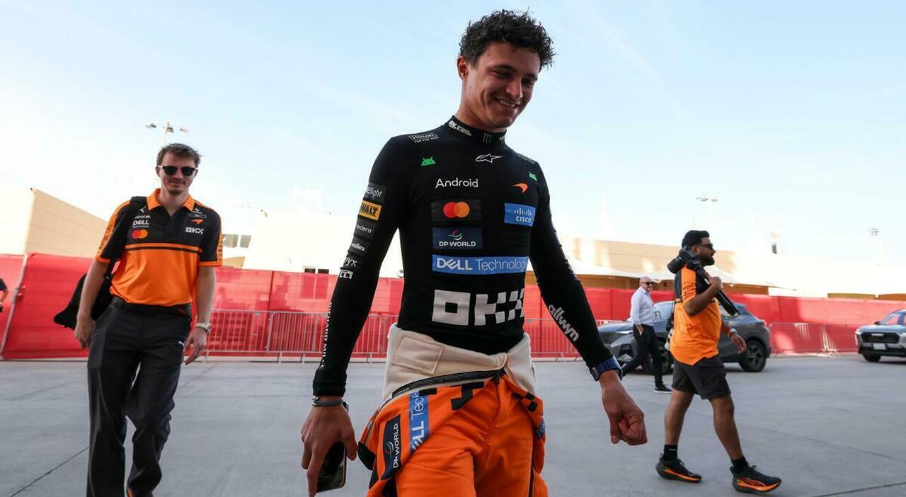 Lando Norris