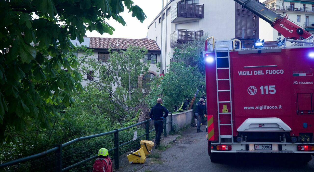 muore a 39 anni lungo il canale travolto dall albero che gli crolla addosso mentre pesca